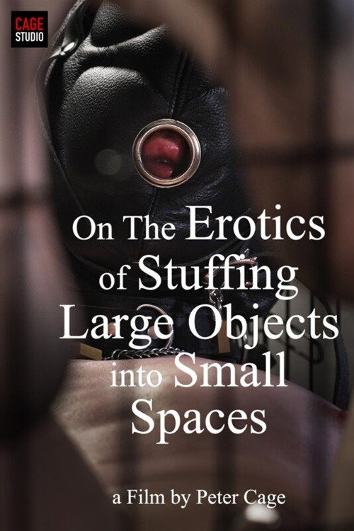 On The Erotics of Stuffing Large Objects into Small Spaces