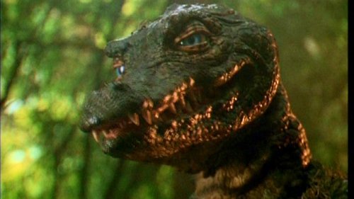The Legend of Gator Face The Legend of Gator Face