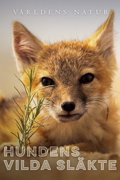 Hundens vilda släkte