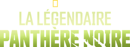 The Real Black Panther logo