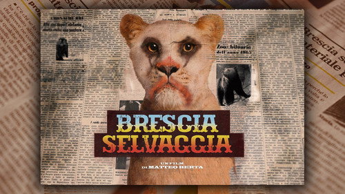 Brescia Selvaggia Backdrop Blur