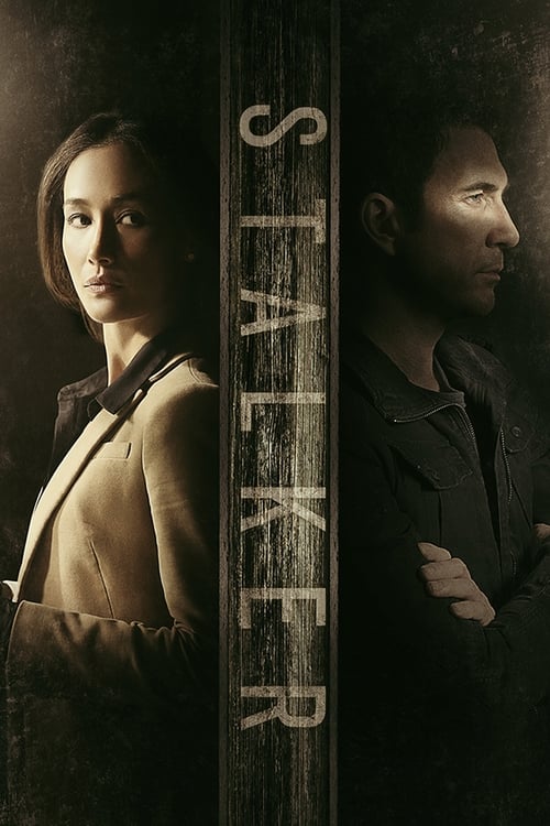 Stalker tv show poster