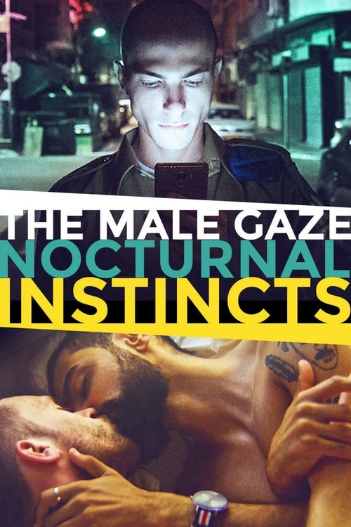 The Male Gaze: Nocturnal Instincts Movie Poster Image