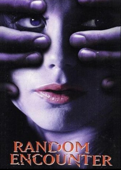 Random Encounter (1998)