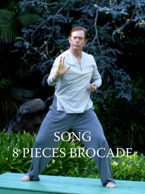 8 Pieces Brocade - Qigong