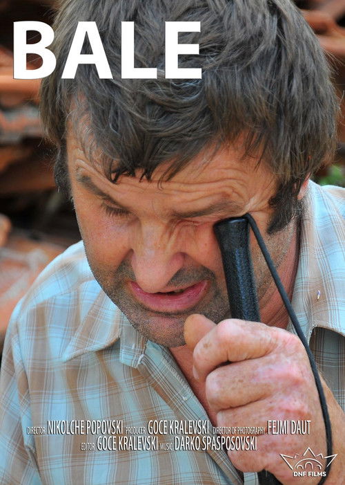 Bale