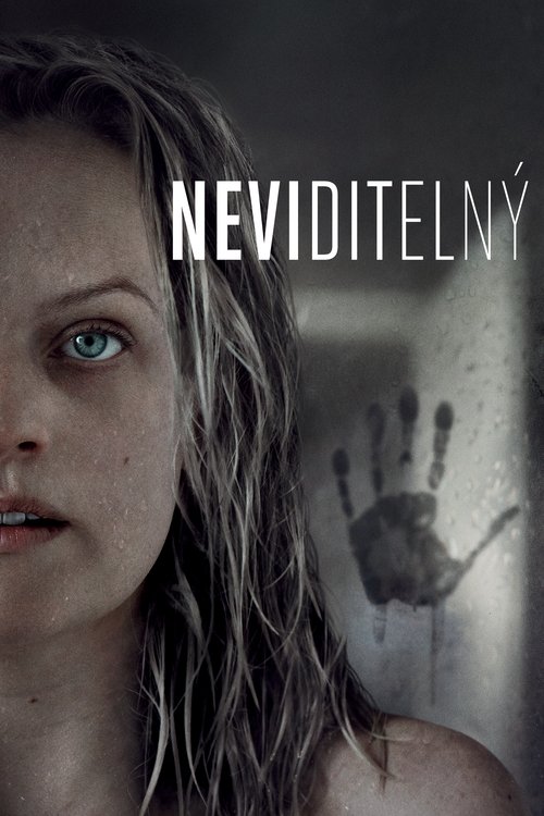 Neviditelný movie poster player