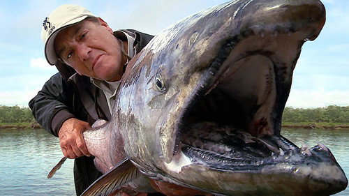 Outdoor Ch: Trev Gowdy's Monster Fish - Season 1 Backdrop Blur