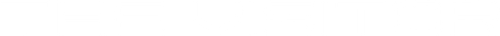 The Visitor (2024)