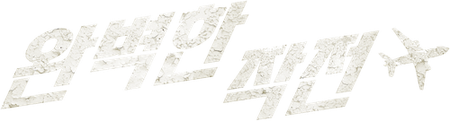 완벽한 작전