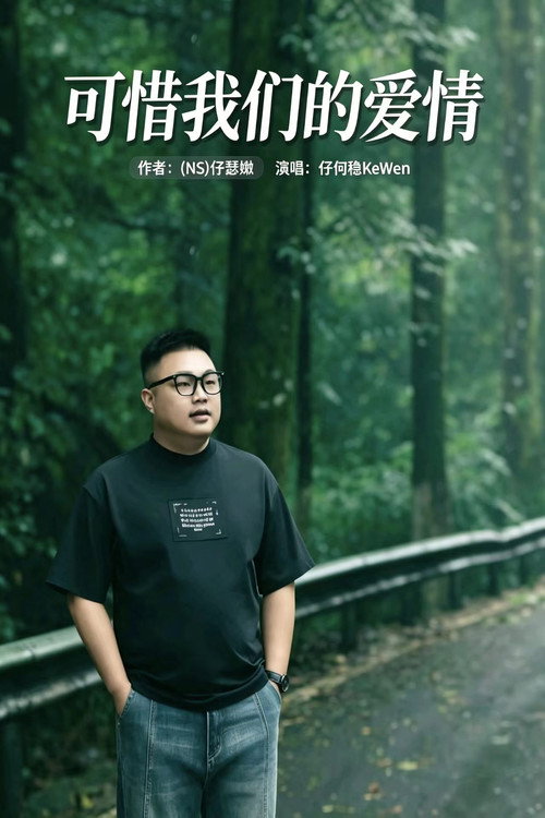 仔何稳-可惜我们的爱情 poster