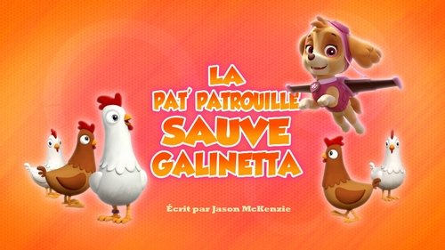 La Pat' Patrouille sauve galinetta