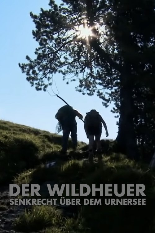 Der Wildheuer movie poster player