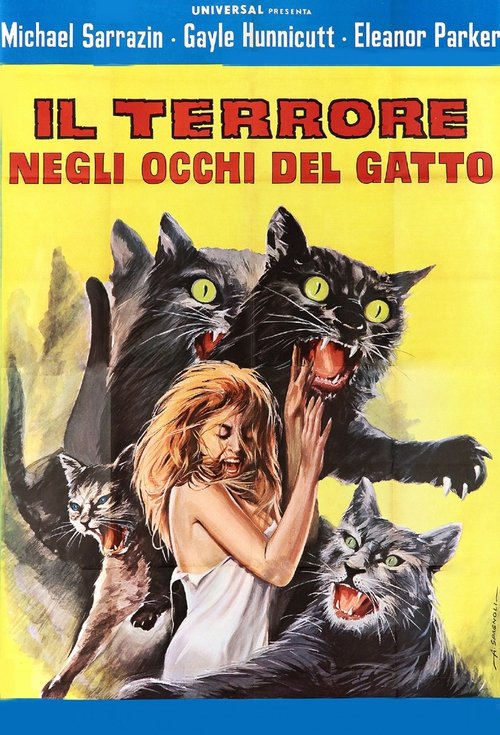 Il terrore negli occhi del gatto 1969