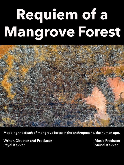 Requiem of a Mangrove Forest