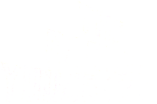 The Daring Young Man
