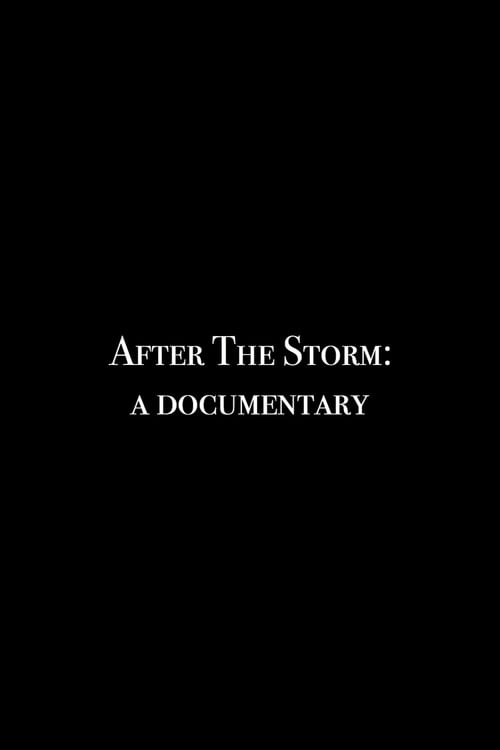 After the Storm: A Documentary (2018)