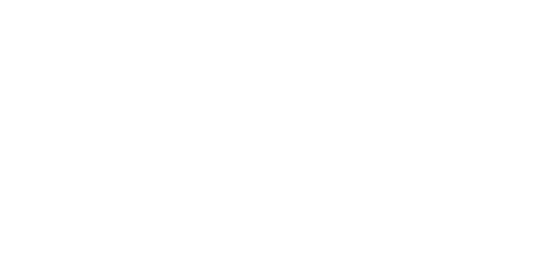 شبی که ماه کامل شد