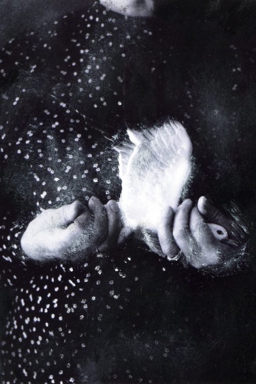 A Place to Call Home