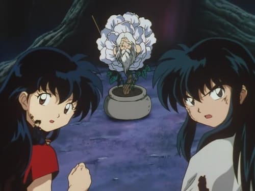 InuYasha: 3×4