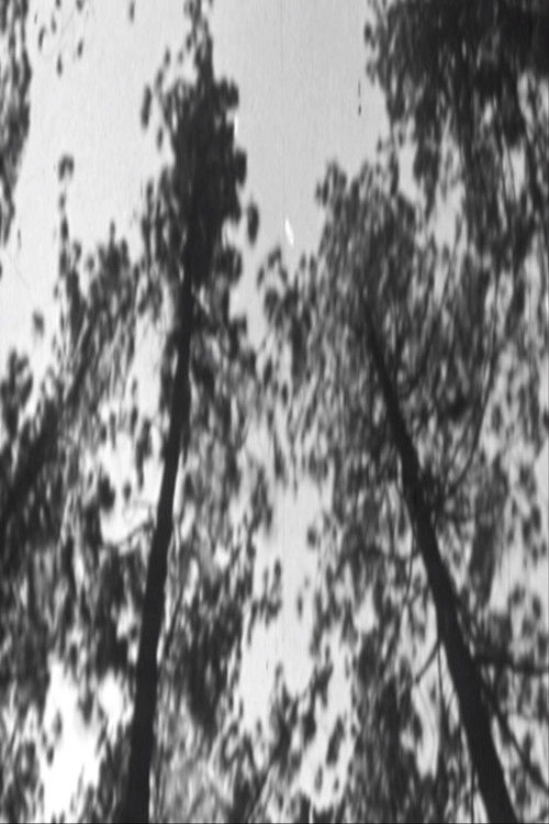 Ver la ciudad en llamas poster