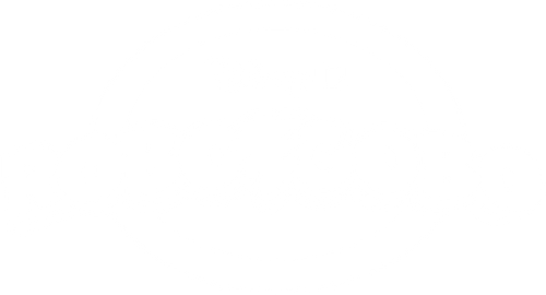 RoboGobo