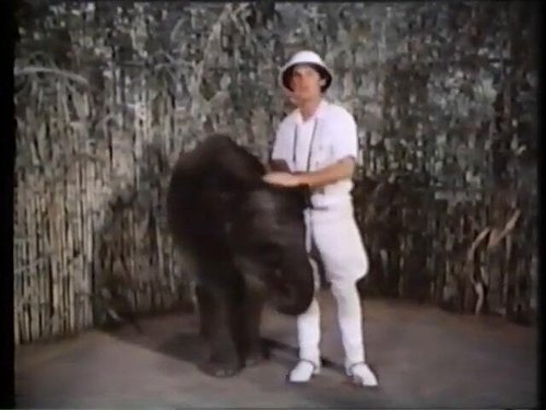 Image de l'épisode 6