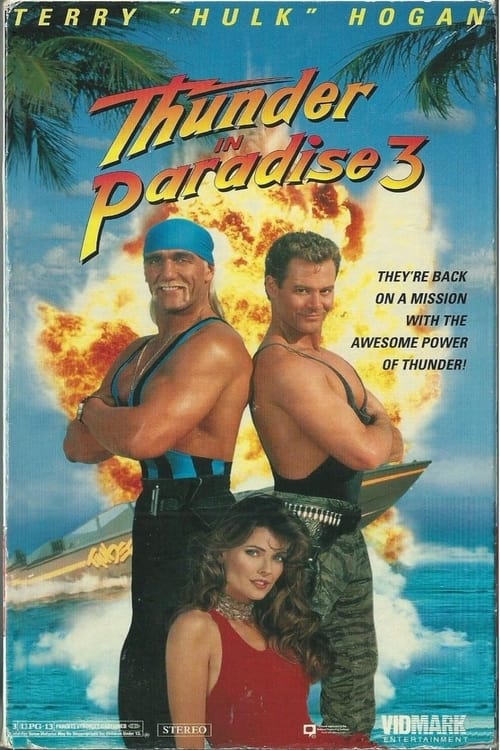 Poster Thunder in Paradise 3 1995