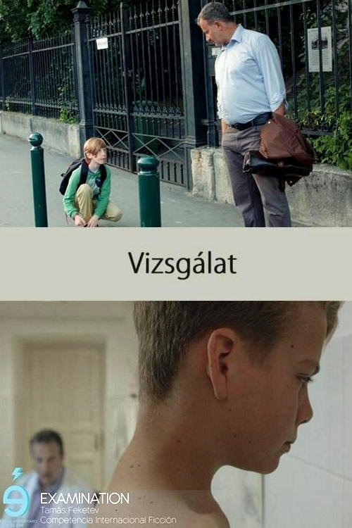 Vizsgálat (2016) poster