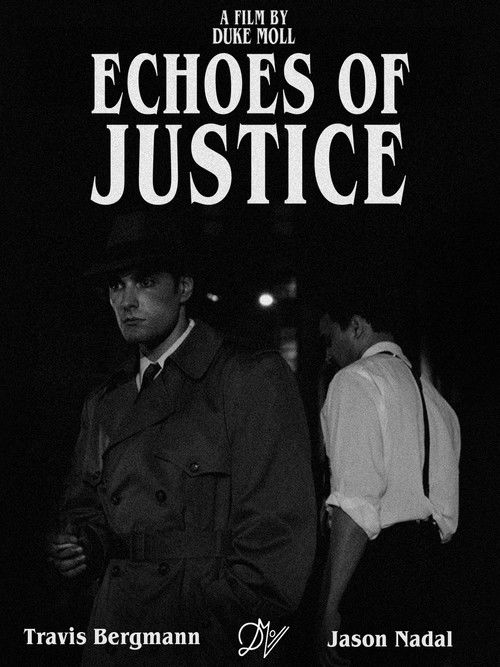 Echoes of Justice poster