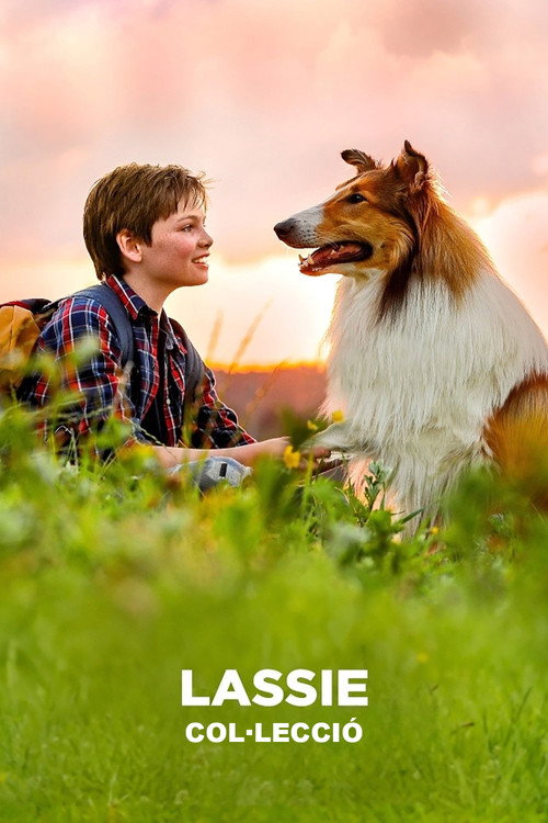 Pòster de Lassie - Col·lecció