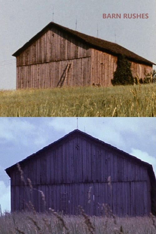 Barn Rushes (1971) poster