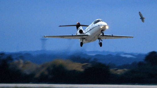 Madarak és gépmadarak: csoda a Hudson folyón