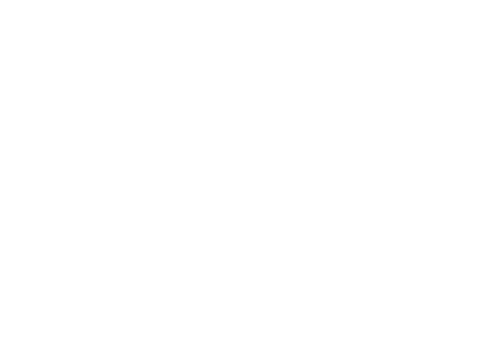 Che: Part One