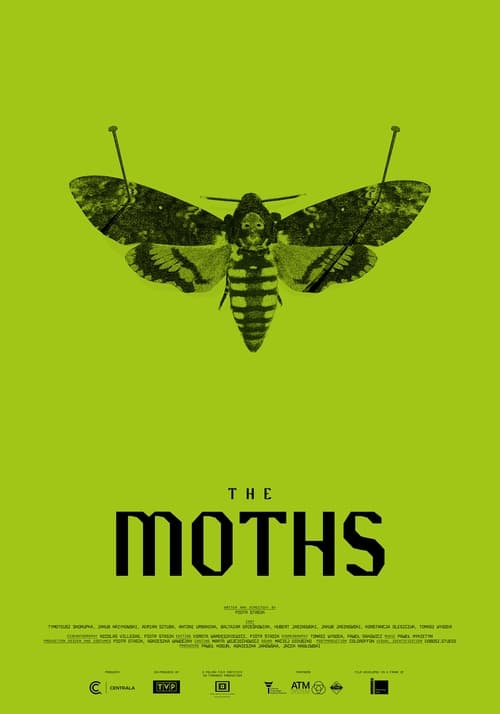 The Moths Putlocker Available in HD Streaming Online Free