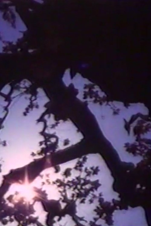 Light Point