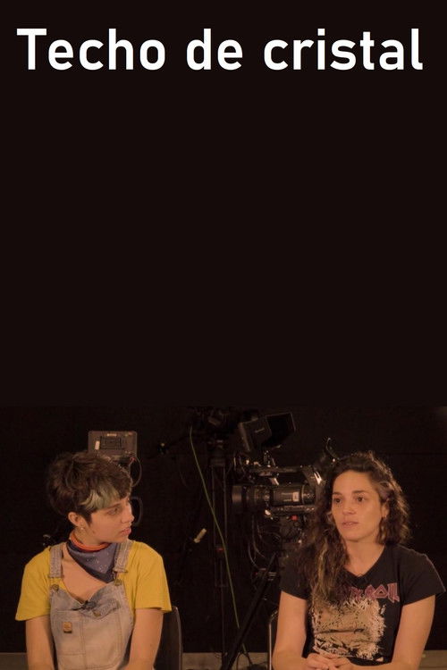 Techo de cristal poster