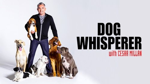 Dog Whisperer