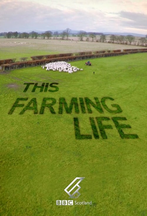 This Farming Life Season 6 Episode 11 : Episode 11