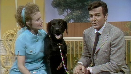 Image de l'épisode 7
