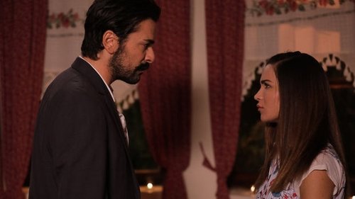 Épisode 7