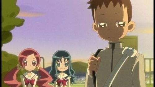 Poster della serie HeartCatch PreCure!