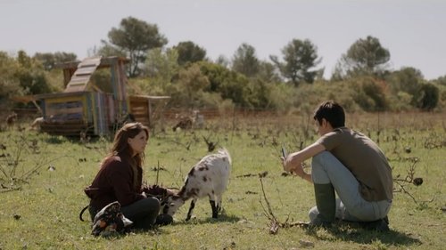 Épisode 1730
