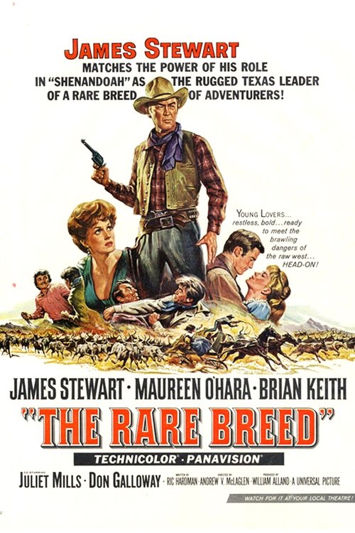 Schauen The Rare Breed On-line Streaming