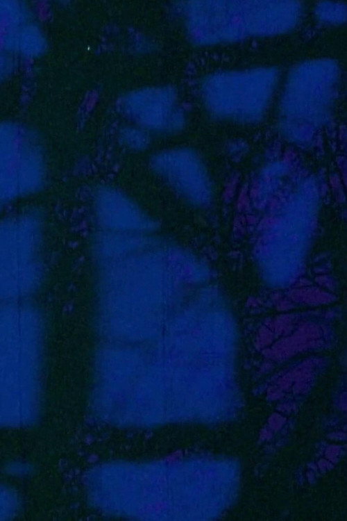 Sensitométrie II still 2