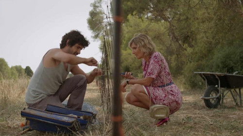 Image de l'épisode 253