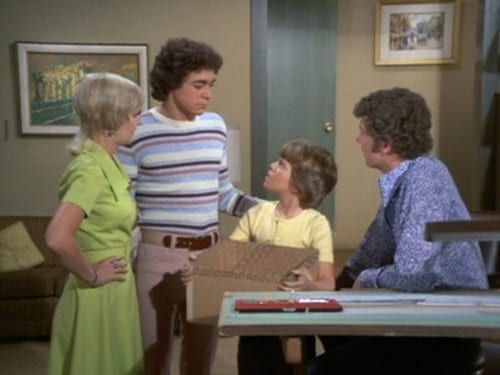 Poster della serie The Brady Bunch