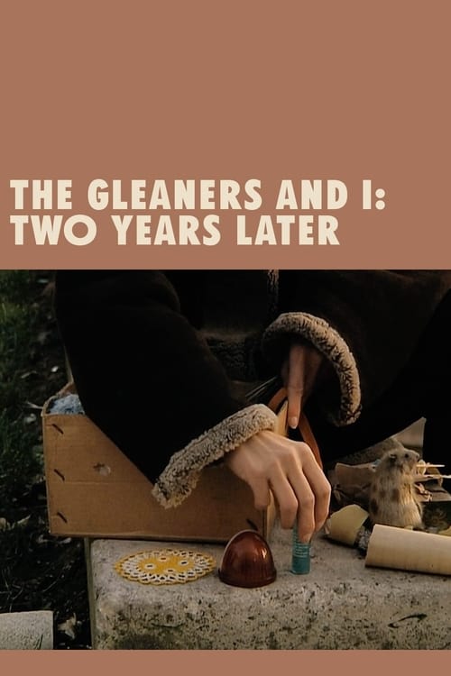 Where to stream The Gleaners and I: Two Years Later