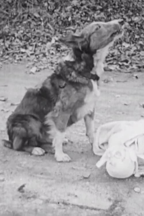 Toodles, Tom and Trouble (1915)