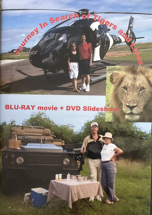 Journey in Search of Tigers and Lions